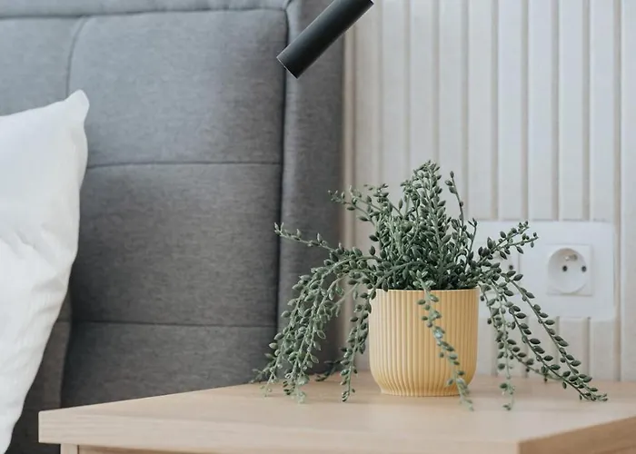 - Cozy With Parking Apartament